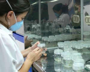 Residuos-laboratorios-farmceuticos-tratados-desecho_LNCIMA20140813_0166_28