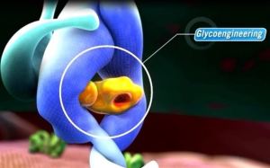 fotonoticia_20151020184909_1280