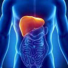 Hepatitis C, cómo prevenir una dolencia viral para la que no hay&nbsp;vacunas