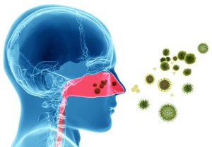 Alergias indoor: más frecuentes y severas en&nbsp;otoño