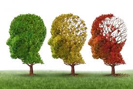 21 de septiembre Día del Alzheimer: Más de un tercio de las demencias podrían prevenirse modificando el estilo de&nbsp;vida