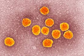Informe de la Hepatitis C en Argentina: resultados de una campaña nacional de concientización y&nbsp;detección
