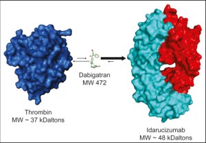 Idarucizumab, un novedoso fármaco que permite revertir el efecto anticoagulante de dabigatrán, el NOAC para pacientes con fibrilación&nbsp;auricular
