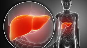 Crecen los casos de cáncer asociados al hígado&nbsp;graso