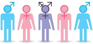 Salud de personas trans y no binarias: Apuntes sobre la necesidad del trabajo transdisciplinario en instituciones de salud Salud de personas trans y no binarias: Apuntes sobre la necesidad del trabajo transdisciplinario en instituciones de salud