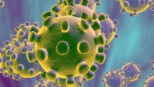 Coronavirus. Hay más de 160 artículos científicos en PubMed Coronavirus. Hay más de 160 artículos científicos en PubMed