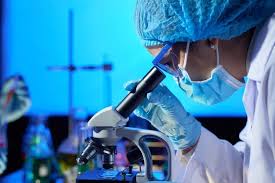 Medicamentos innovadores y vacunas contra el&nbsp;Covid-19