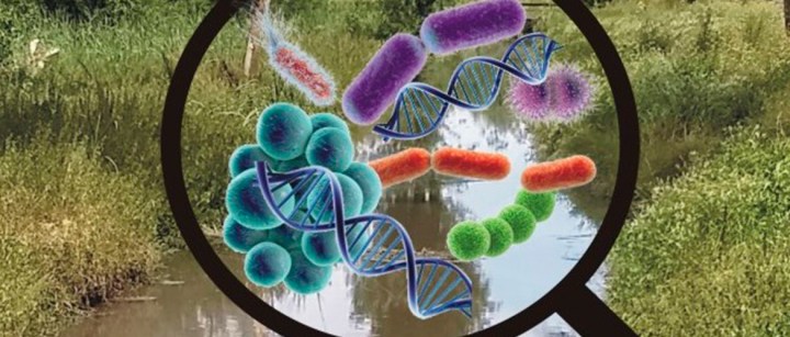 Premio de $ 1.500.000 al proyecto biotecnológico más innovador
